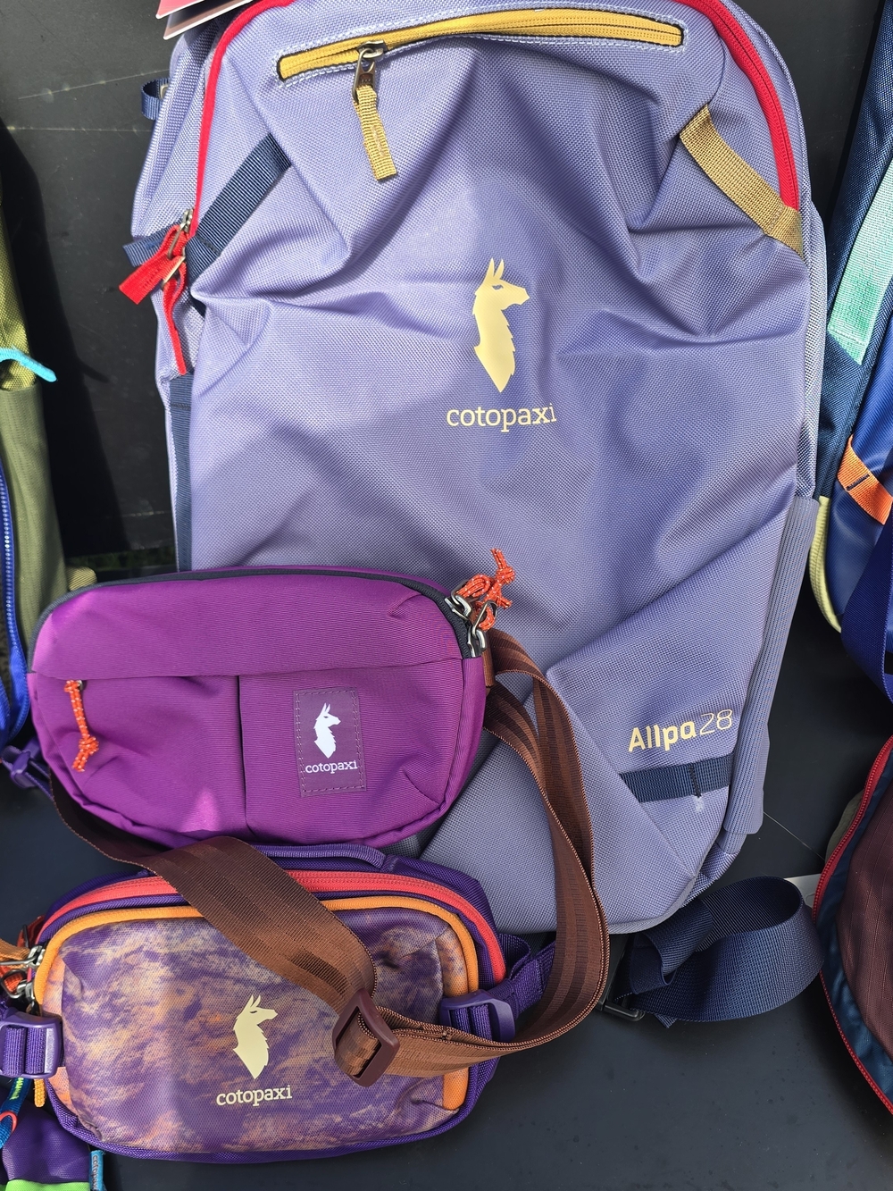 cotopaxi Purple Allpa 28 Backpack with Purple and Multicolor Waist Packs